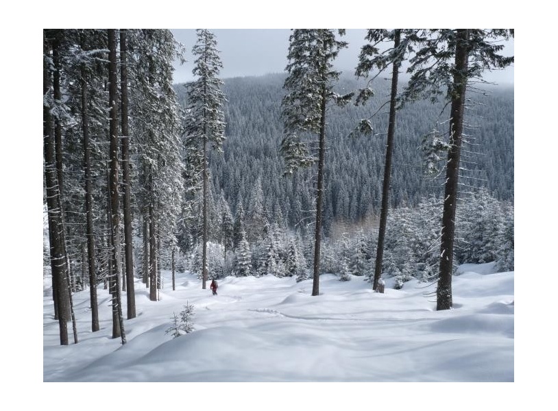 Restructuration de la station de ski de Ranca - Roumanie